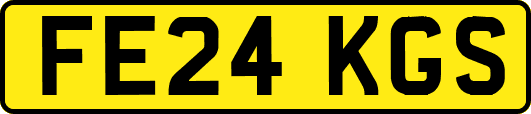 FE24KGS