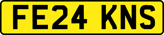 FE24KNS