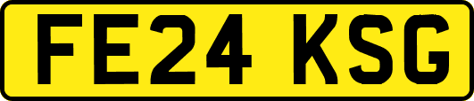 FE24KSG