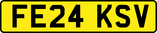 FE24KSV
