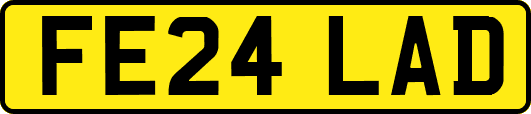 FE24LAD