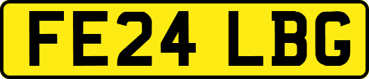 FE24LBG