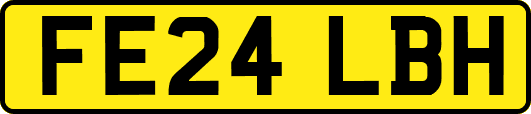 FE24LBH
