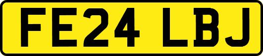 FE24LBJ