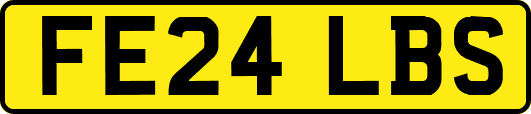 FE24LBS