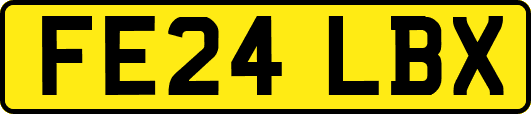 FE24LBX