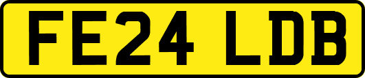 FE24LDB