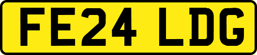 FE24LDG