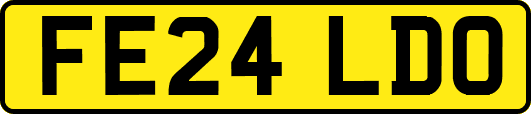 FE24LDO