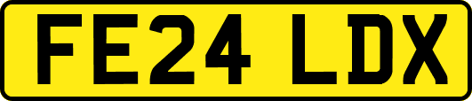 FE24LDX