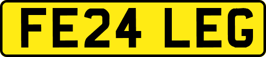 FE24LEG