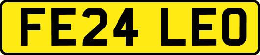 FE24LEO