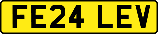 FE24LEV