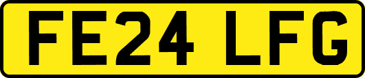 FE24LFG