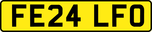 FE24LFO
