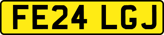 FE24LGJ