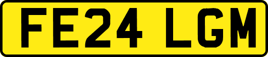 FE24LGM