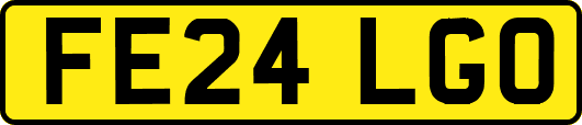FE24LGO