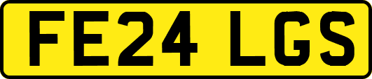 FE24LGS