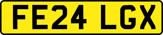 FE24LGX