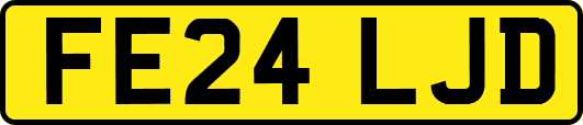 FE24LJD