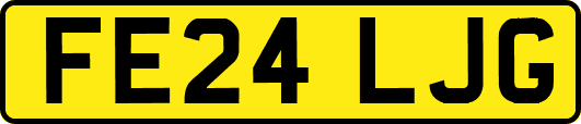 FE24LJG
