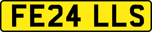 FE24LLS