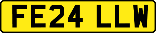 FE24LLW