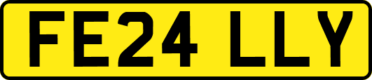 FE24LLY
