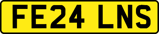 FE24LNS