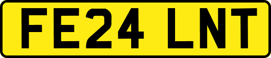 FE24LNT