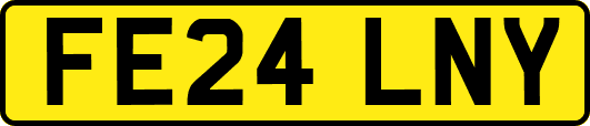 FE24LNY