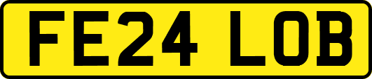 FE24LOB