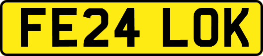 FE24LOK