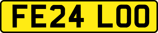 FE24LOO