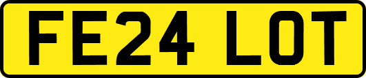 FE24LOT