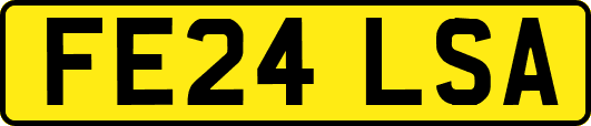 FE24LSA