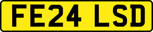 FE24LSD