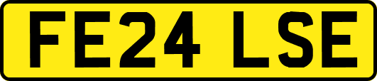 FE24LSE