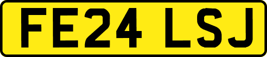 FE24LSJ