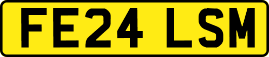 FE24LSM