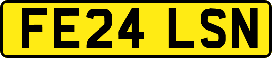 FE24LSN