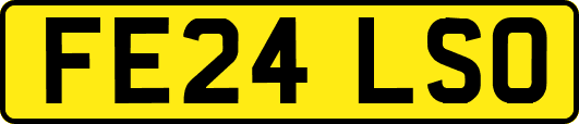 FE24LSO