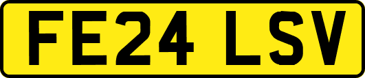 FE24LSV