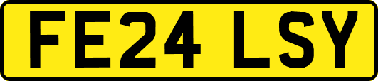 FE24LSY