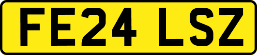 FE24LSZ