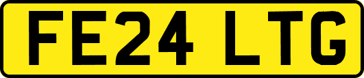 FE24LTG