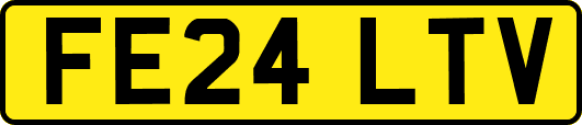 FE24LTV