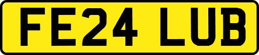 FE24LUB