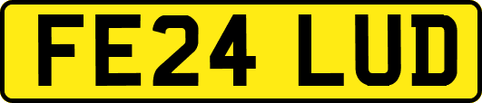 FE24LUD